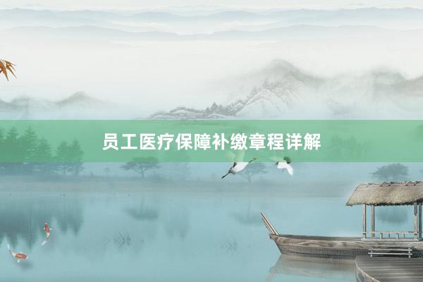 员工医疗保障补缴章程详解