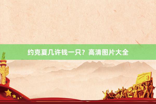 约克夏几许钱一只？高清图片大全